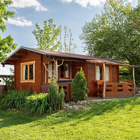 Willa Cozy wood hut on the farm Trebivlice Zewnętrze zdjęcie