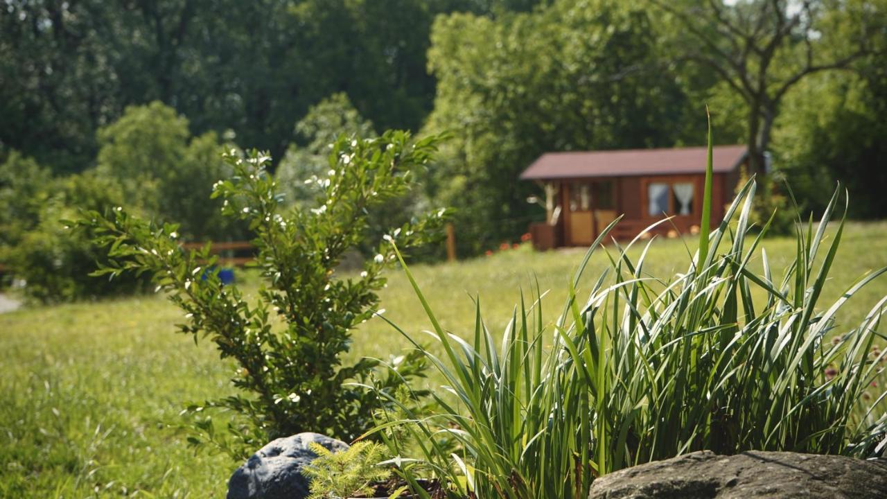 Willa Cozy wood hut on the farm Trebivlice Zewnętrze zdjęcie